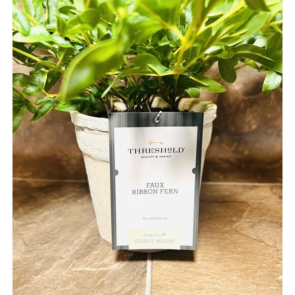 Faux Ribbon Fern 13”H Potted Plant - Threshold designed with Studio McGee - Picture 3 of 5